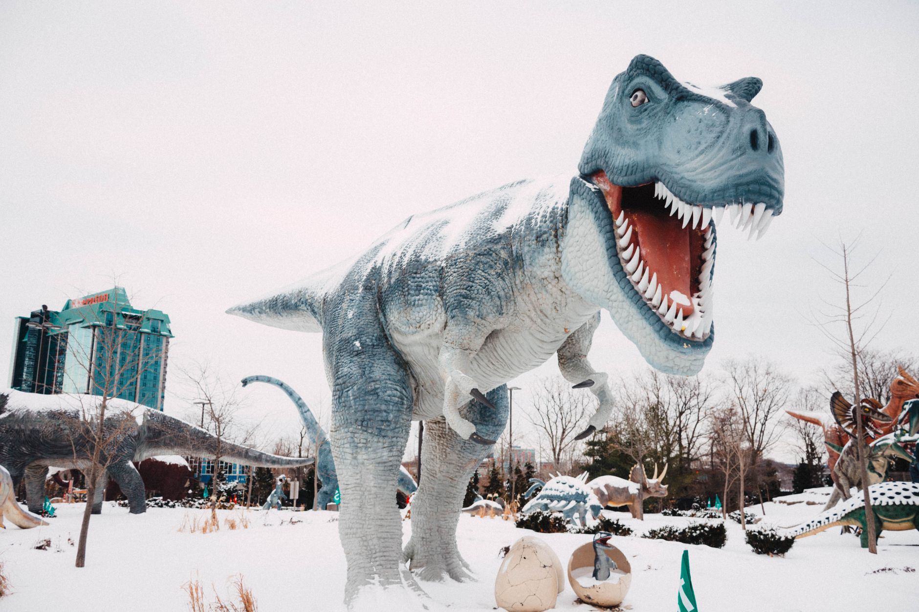 T. rex body temperature: Proven insights from teeth