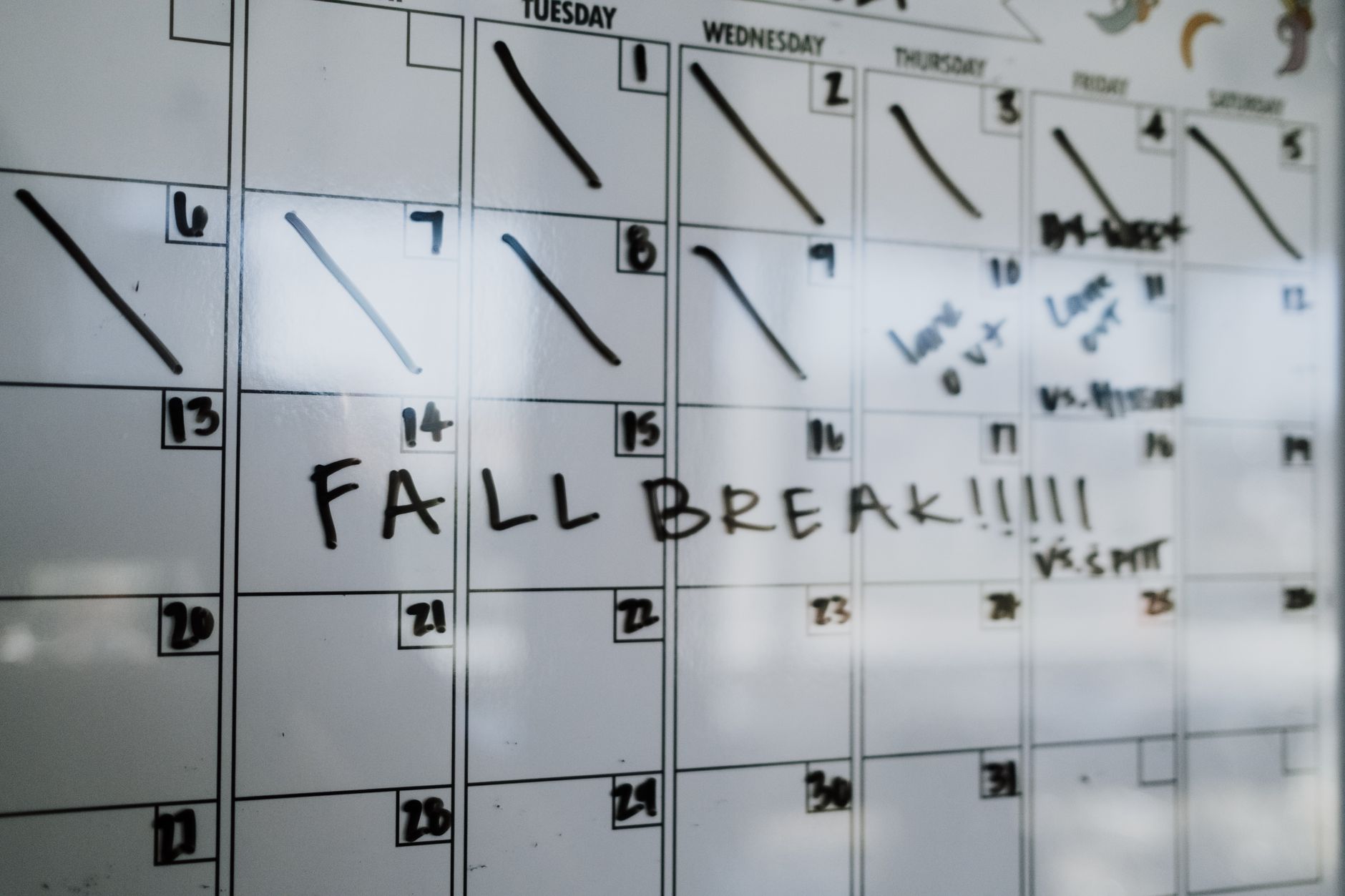 launch calendar announcement